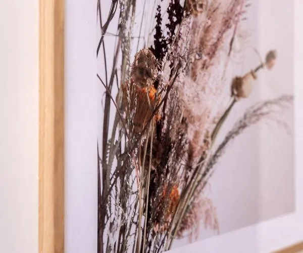 Dom Joao Premium By Da'home