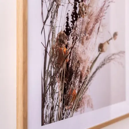 Dom Joao Premium By Da'home